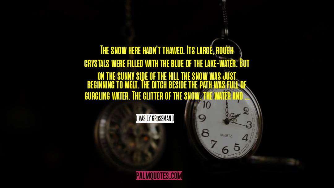 The Ice Storm quotes by Vasily Grossman