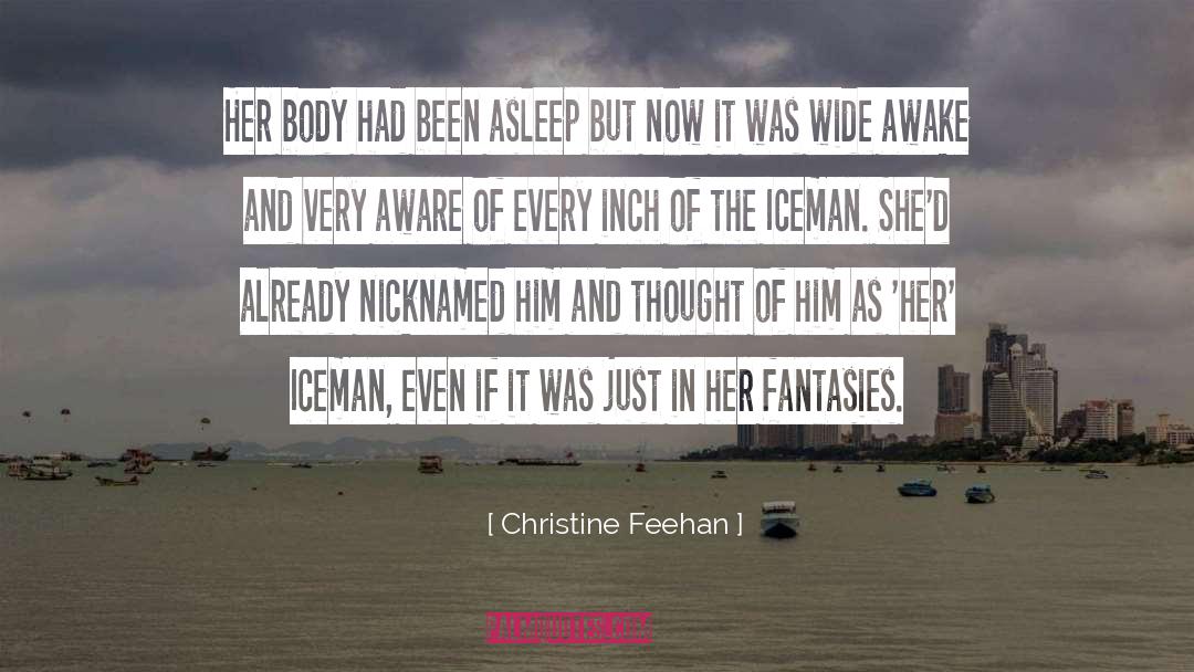 The Iceman Cometh quotes by Christine Feehan