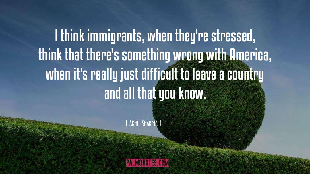 The Immigrants quotes by Akhil Sharma