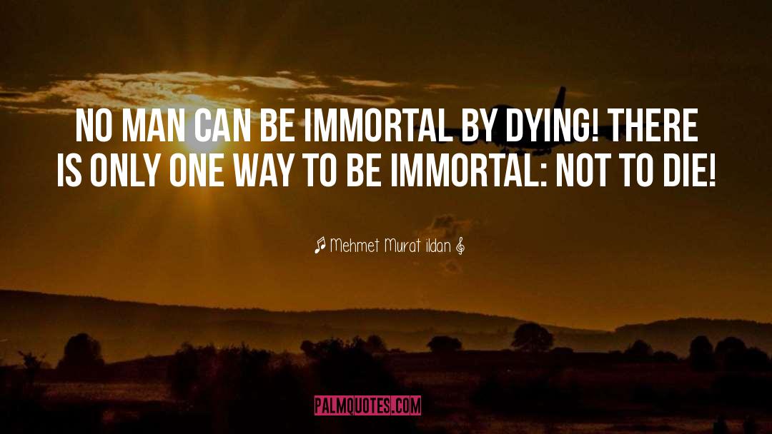 The Immortals quotes by Mehmet Murat Ildan