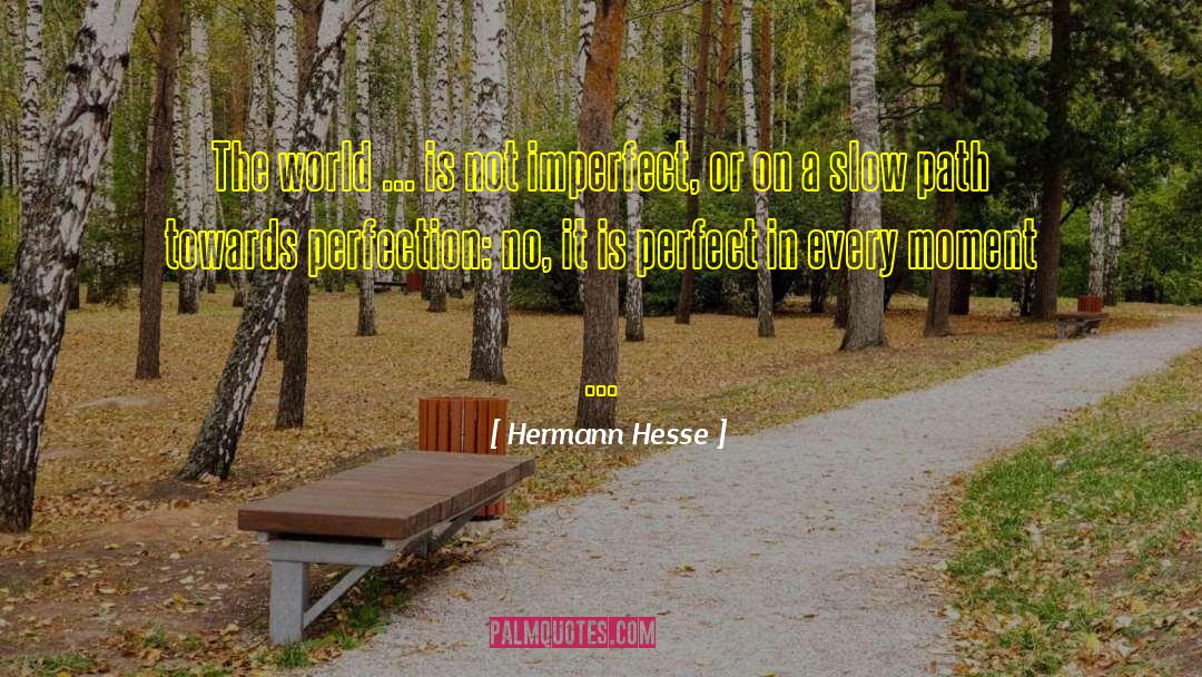 The Imperfect Lover quotes by Hermann Hesse