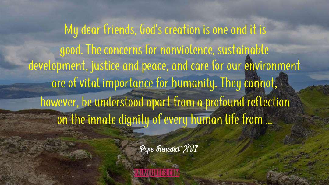 The Importance Of The Human Race quotes by Pope Benedict XVI