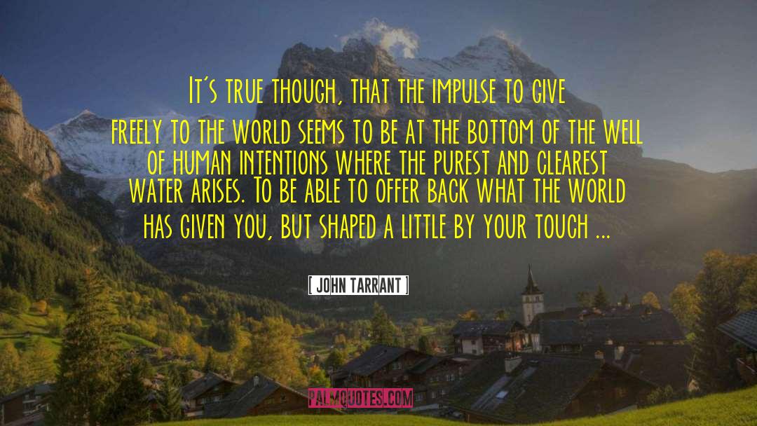 The Impulse quotes by John Tarrant