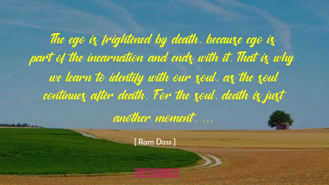 The Incarnation quotes by Ram Dass