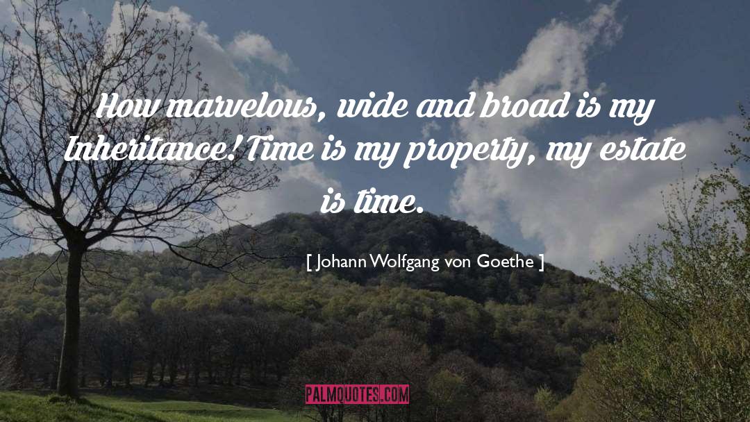 The Inheritance quotes by Johann Wolfgang Von Goethe
