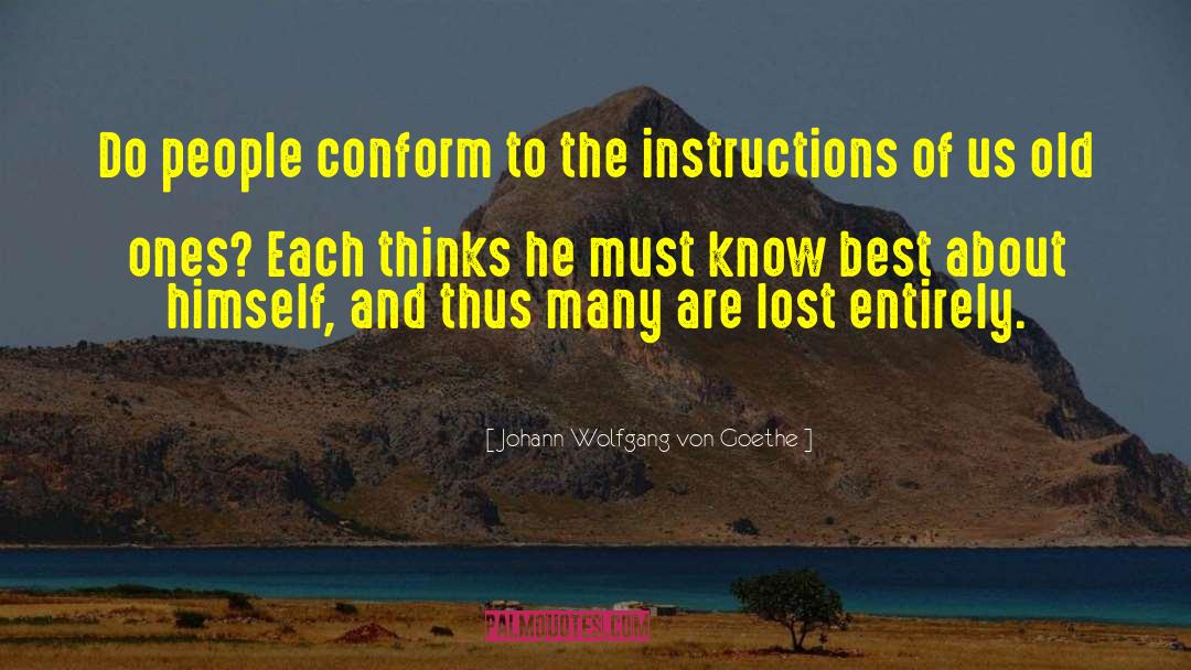 The Instructions quotes by Johann Wolfgang Von Goethe