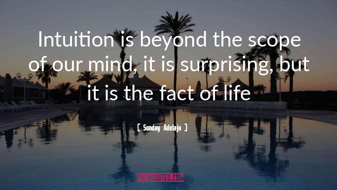 The Intuition Function quotes by Sunday Adelaja