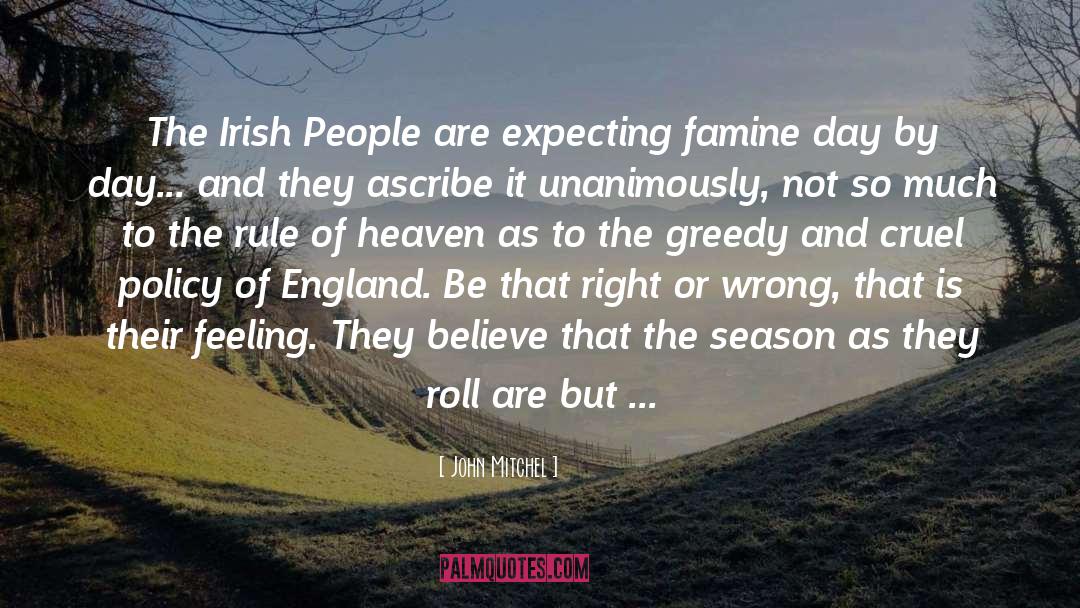 The Irish quotes by John Mitchel