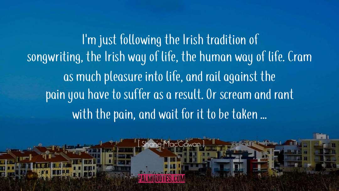 The Irish quotes by Shane MacGowan
