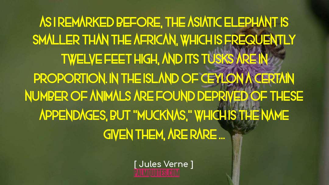 The Island quotes by Jules Verne