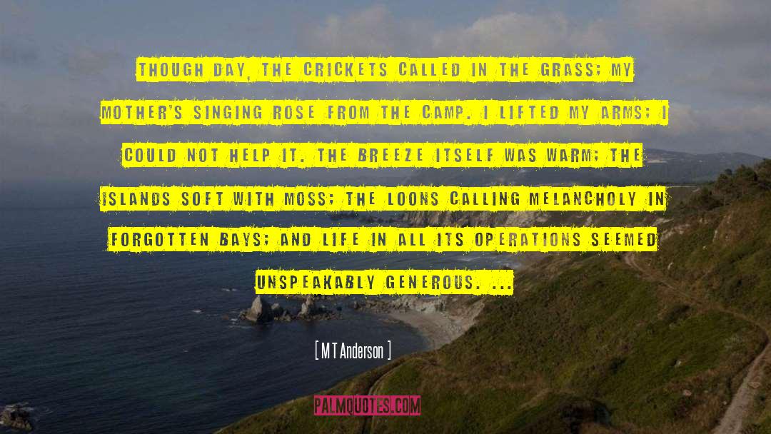 The Islands quotes by M T Anderson