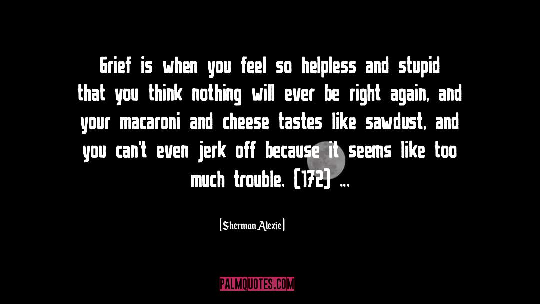 The Jerk quotes by Sherman Alexie