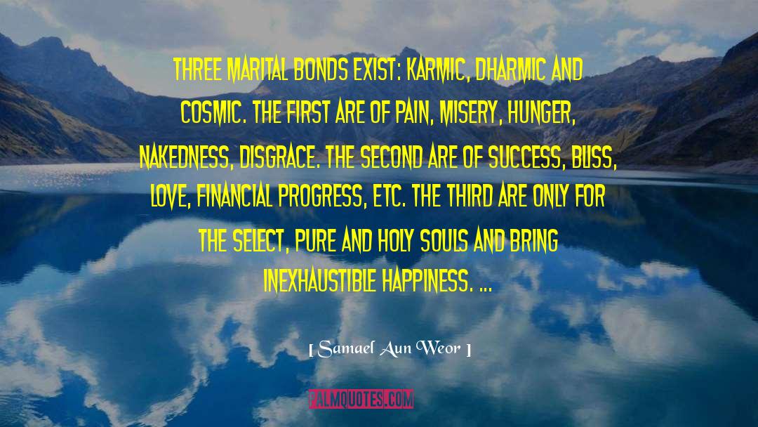 The Jetstream Of Success quotes by Samael Aun Weor