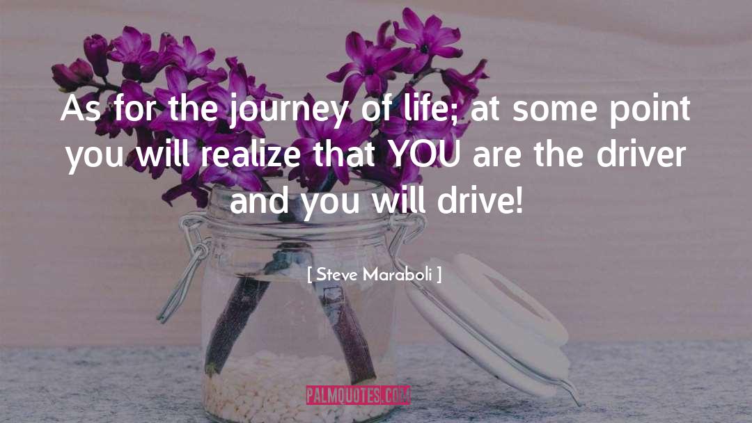 The Journey Of Life quotes by Steve Maraboli