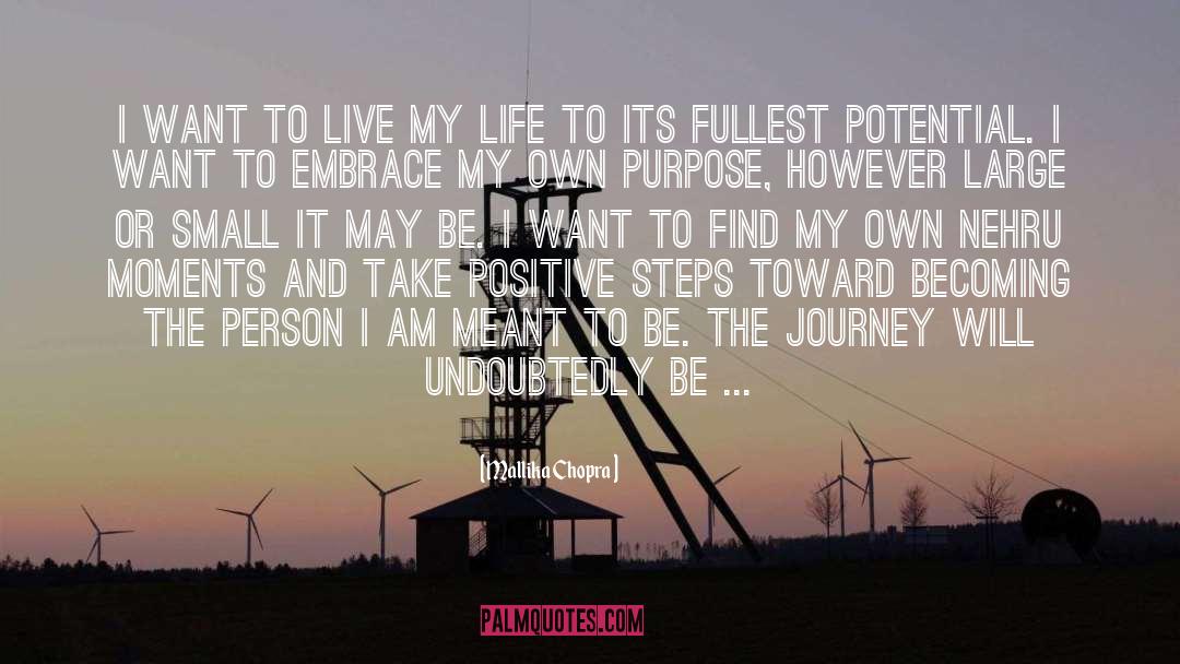 The Journey quotes by Mallika Chopra