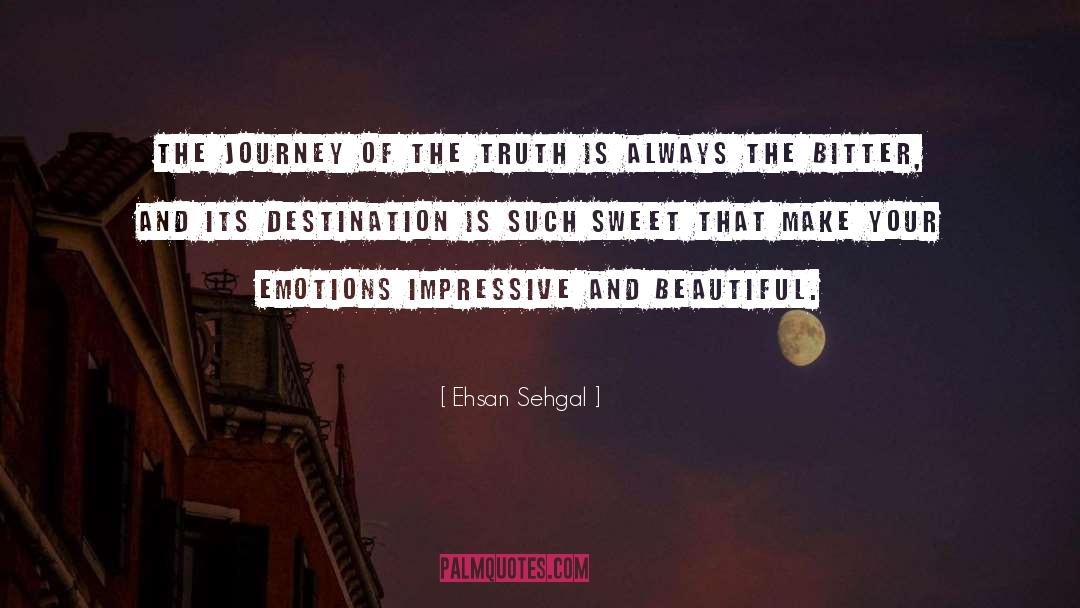 The Journey quotes by Ehsan Sehgal