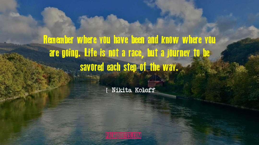 The Journey To Success quotes by Nikita Koloff