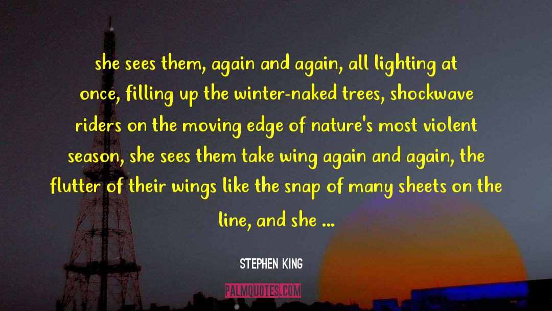 The Kite Runner quotes by Stephen King