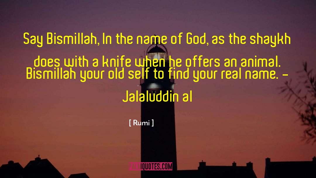The Knife S Edge quotes by Rumi