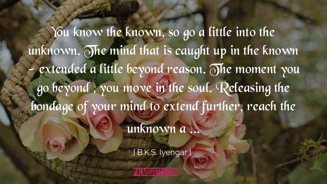 The Known quotes by B.K.S. Iyengar