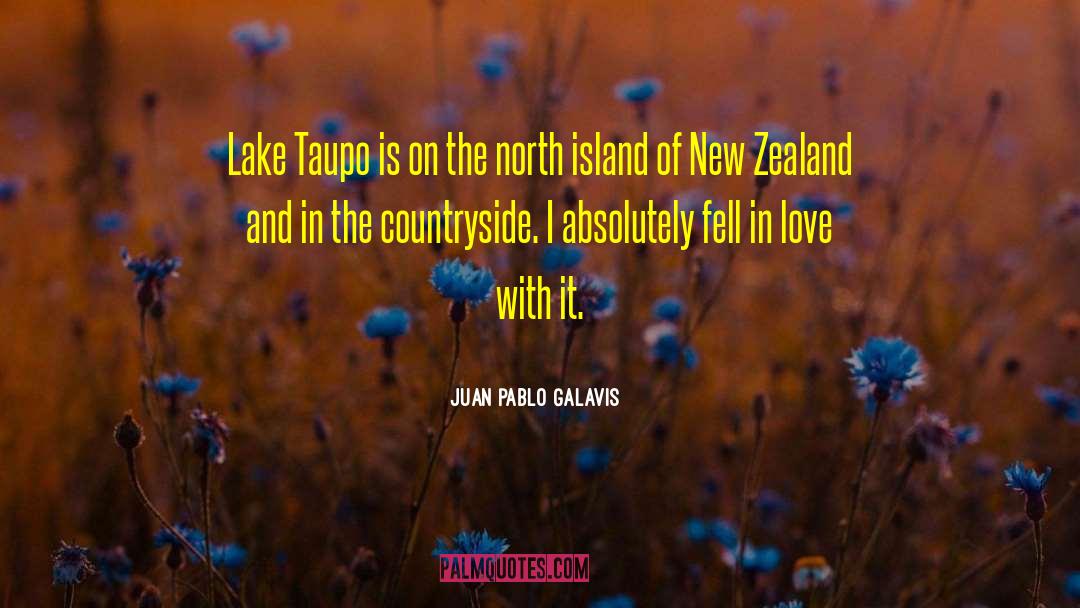 The Lake Of Dreams quotes by Juan Pablo Galavis