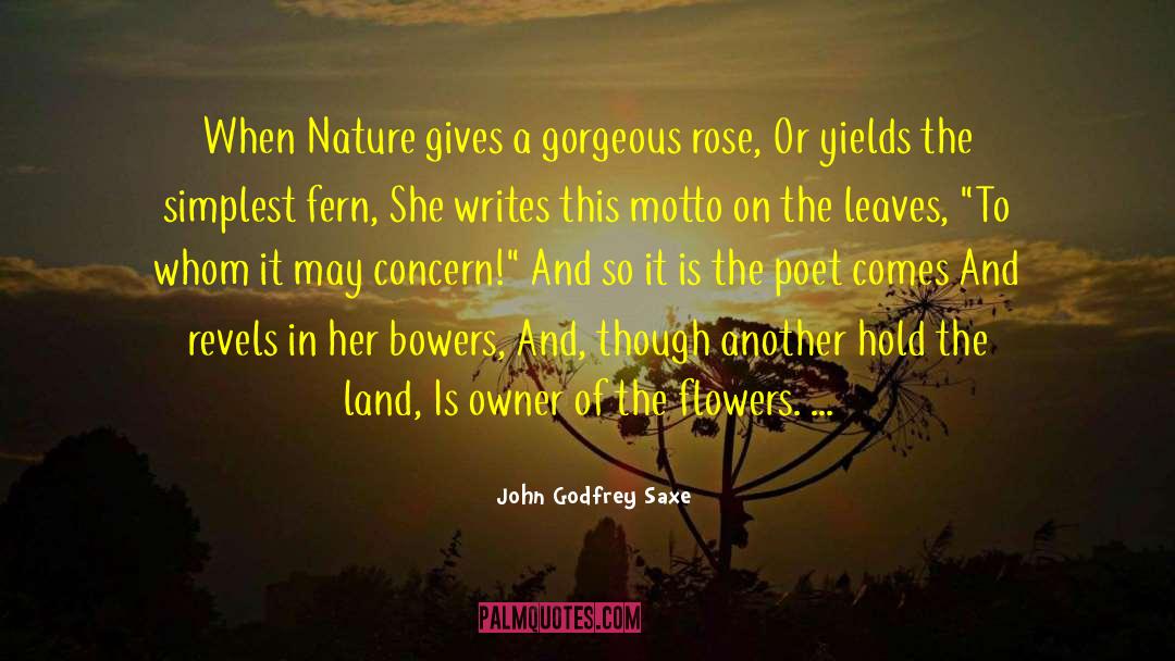 The Land Of Stories quotes by John Godfrey Saxe