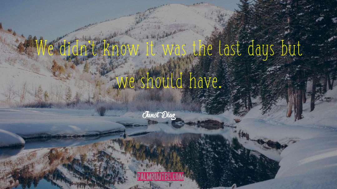 The Last Days quotes by Junot Diaz