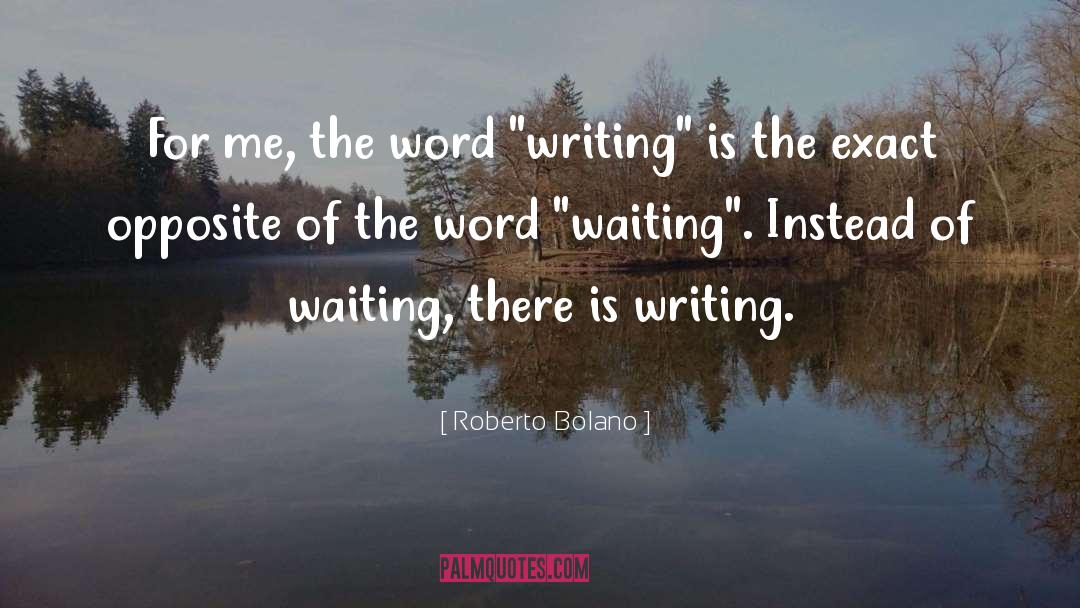 The Last Interview quotes by Roberto Bolano