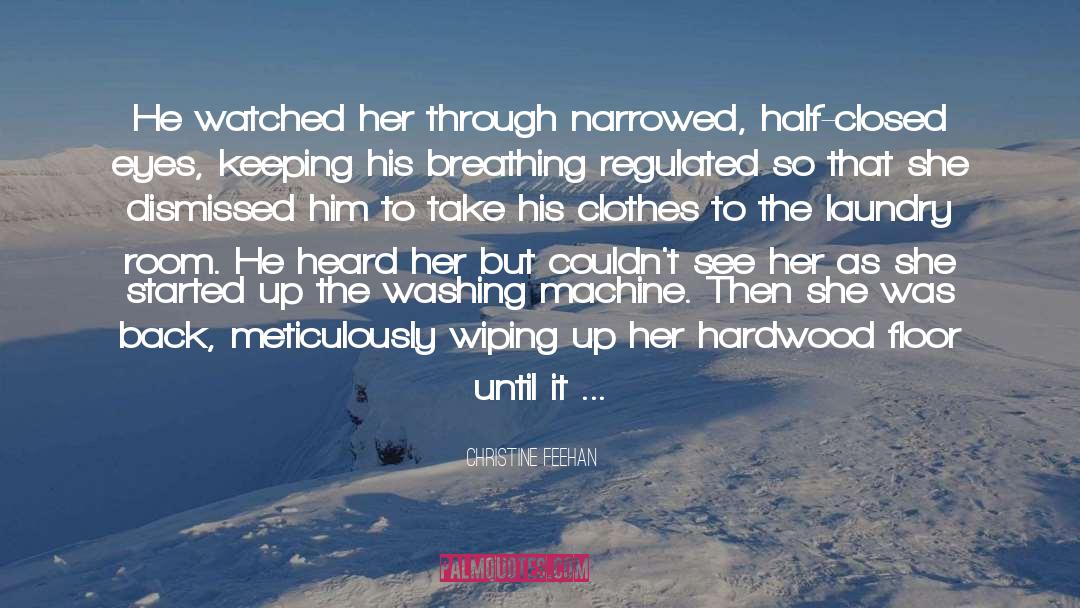 The Laundry quotes by Christine Feehan