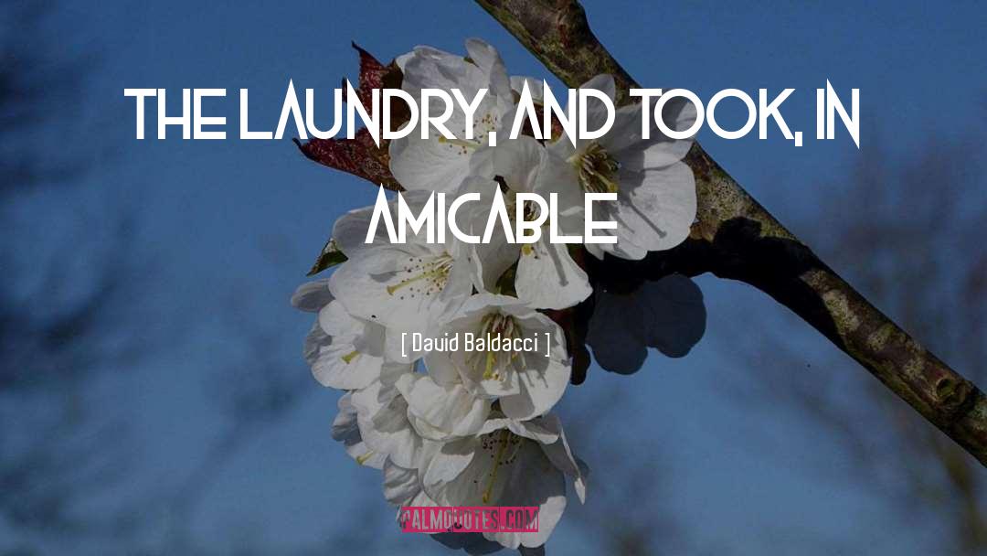 The Laundry quotes by David Baldacci