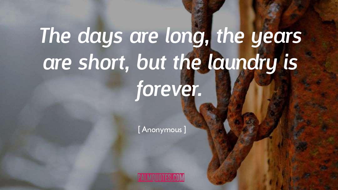 The Laundry quotes by Anonymous