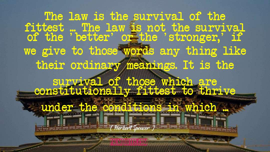 The Law Of The Gods quotes by Herbert Spencer