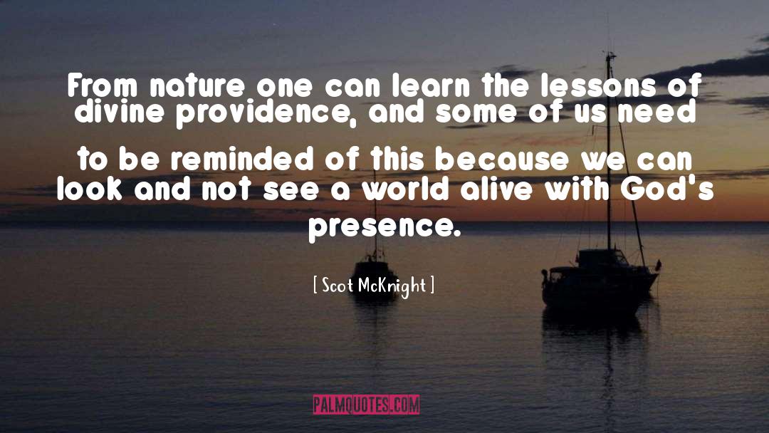 The Lessons quotes by Scot McKnight