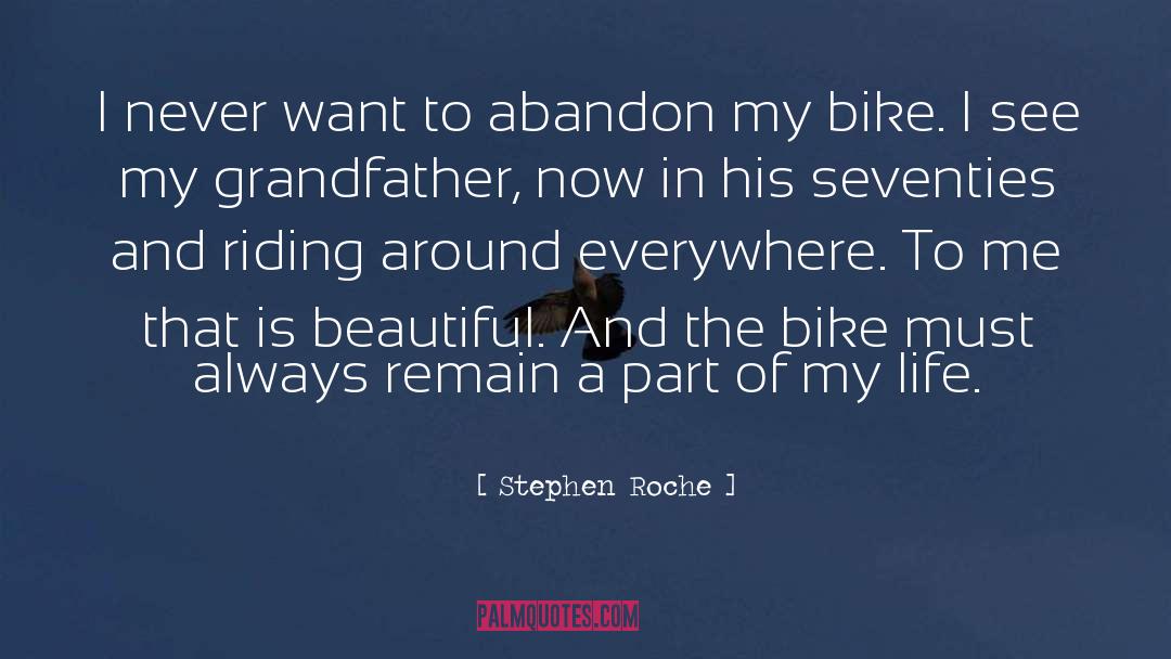 The Life Of Pi quotes by Stephen Roche