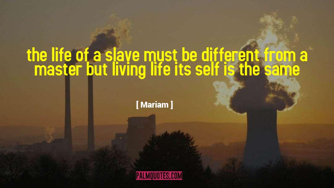 The Life Unlived quotes by Mariam