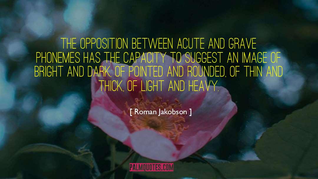 The Light Between Worlds quotes by Roman Jakobson