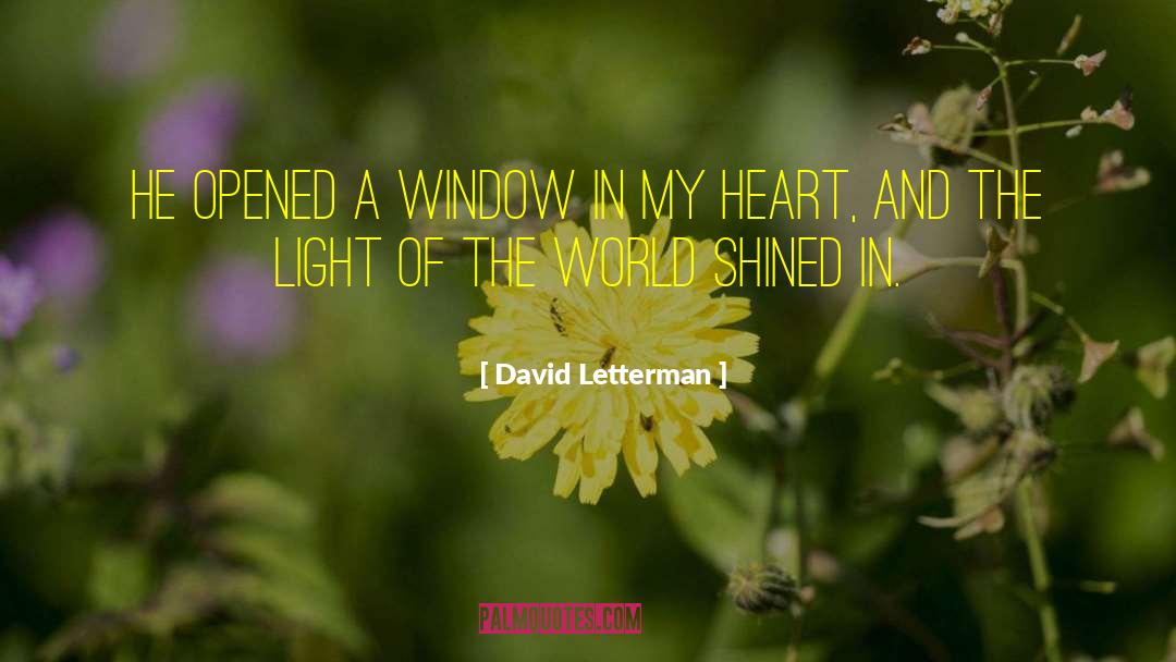 The Light Of The World quotes by David Letterman