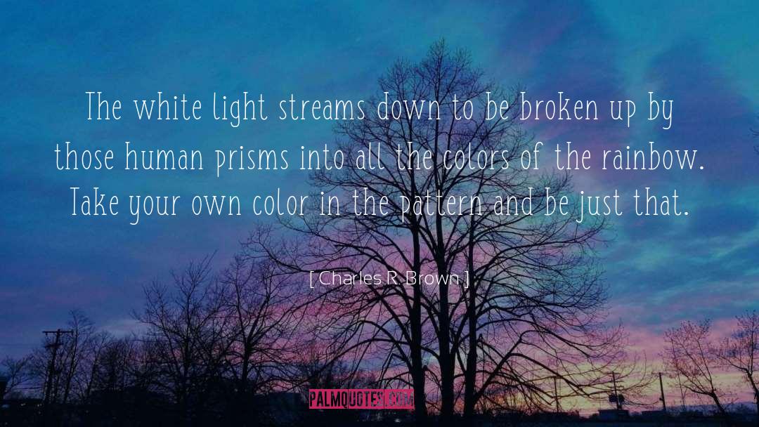 The Light Queen quotes by Charles R. Brown