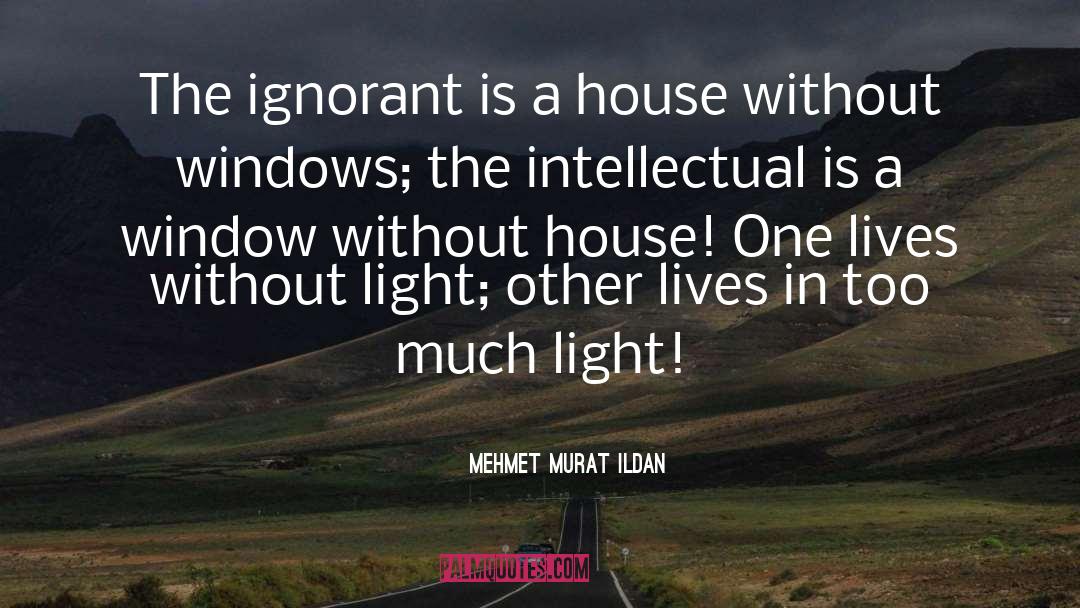The Light Series quotes by Mehmet Murat Ildan