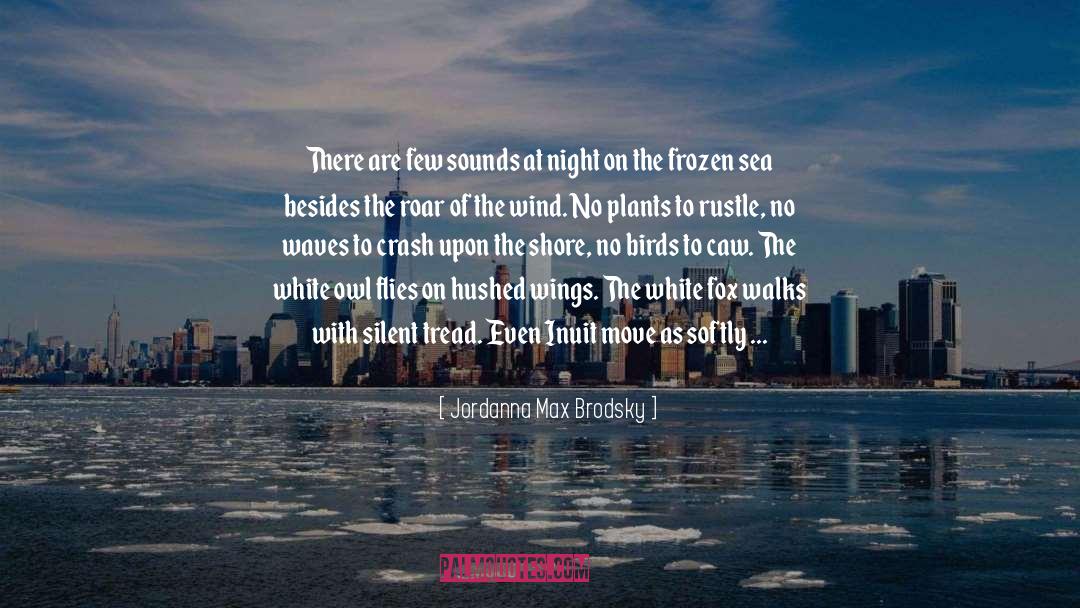 The Little Ice Age quotes by Jordanna Max Brodsky