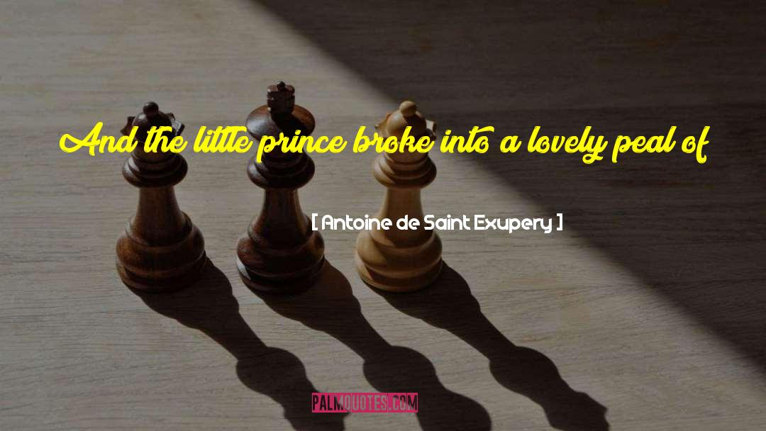 The Little Prince quotes by Antoine De Saint Exupery