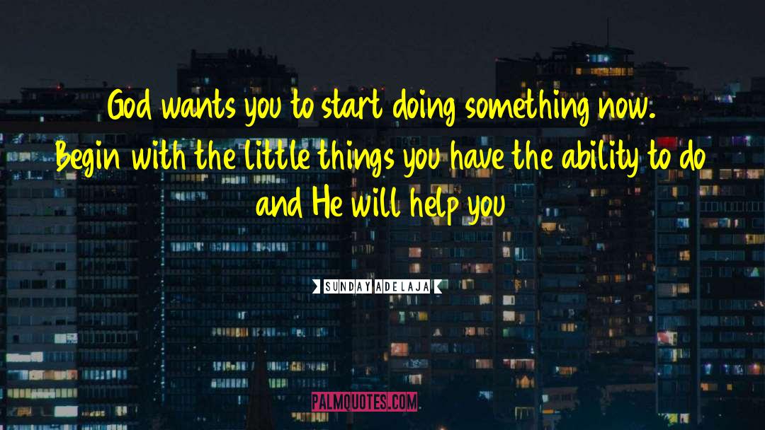 The Little Things quotes by Sunday Adelaja