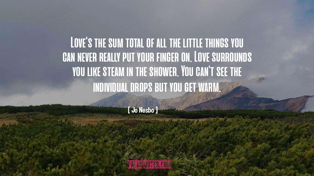 The Little Things quotes by Jo Nesbo