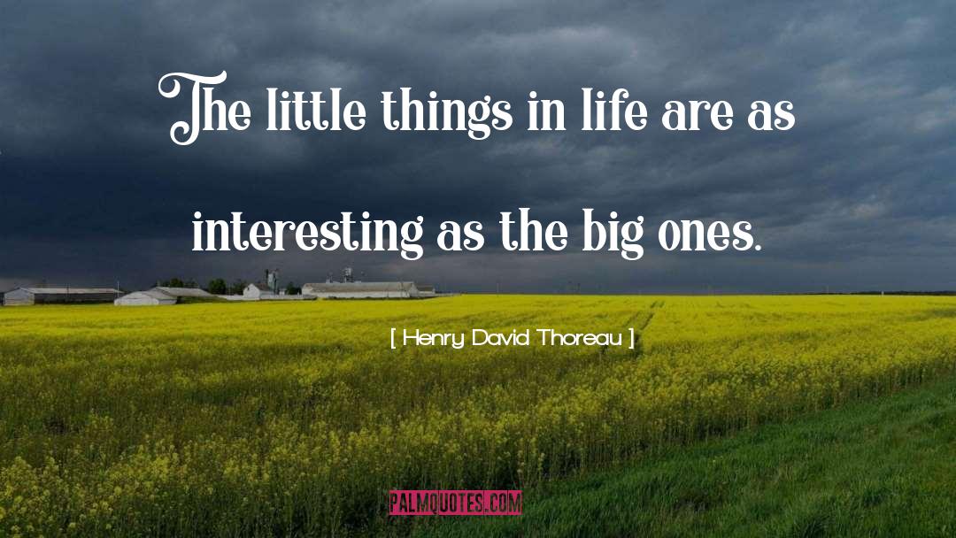 The Little Things quotes by Henry David Thoreau