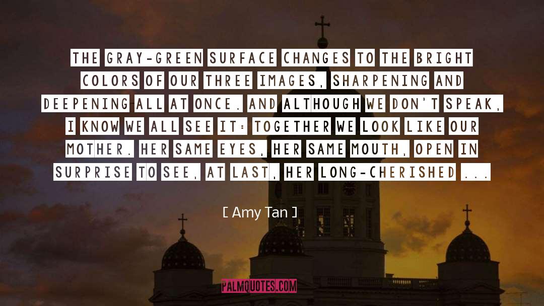 The Long Green Shore quotes by Amy Tan