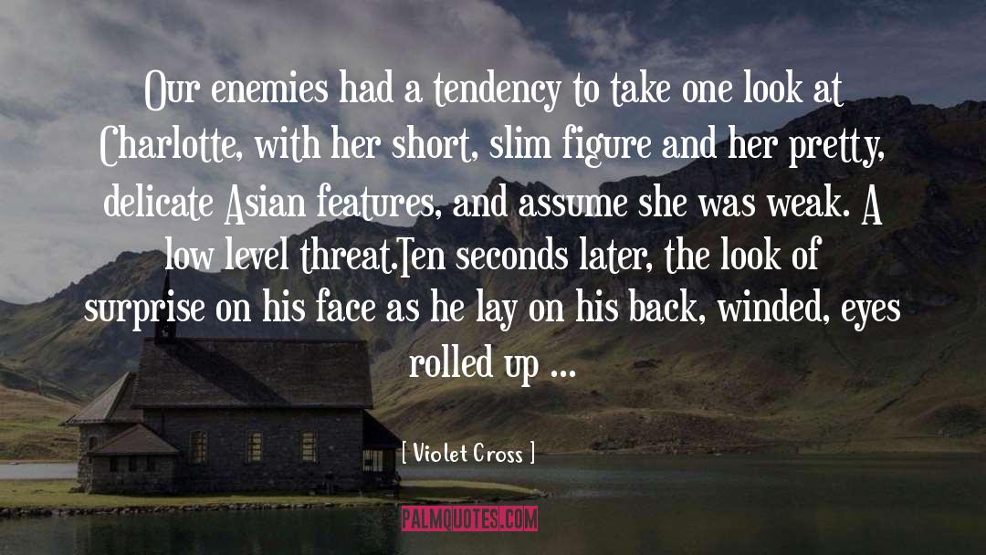 The Look quotes by Violet Cross