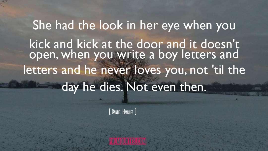 The Look quotes by Daniel Handler