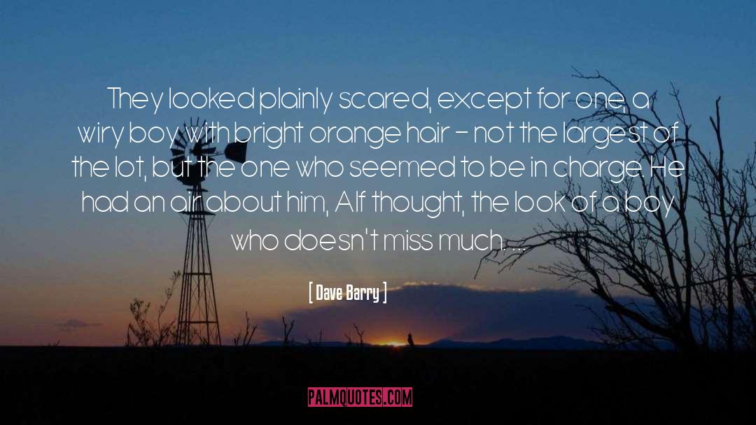 The Look quotes by Dave Barry