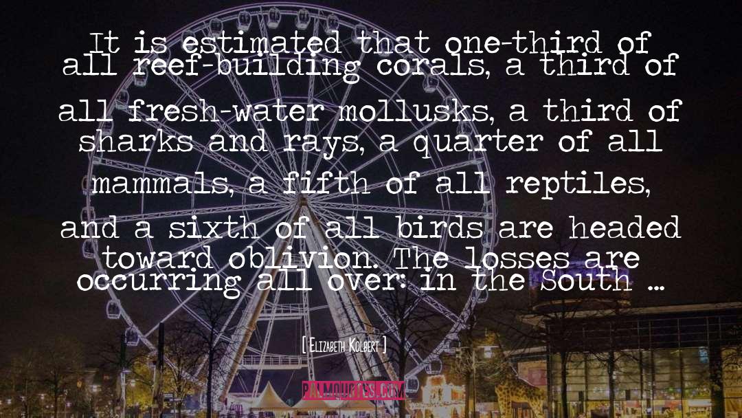 The Losses quotes by Elizabeth Kolbert