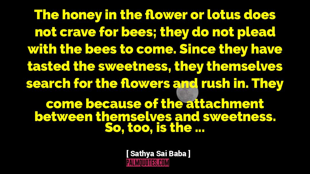 The Lotus Eaters quotes by Sathya Sai Baba